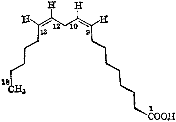 亚油酸结构式简式图片